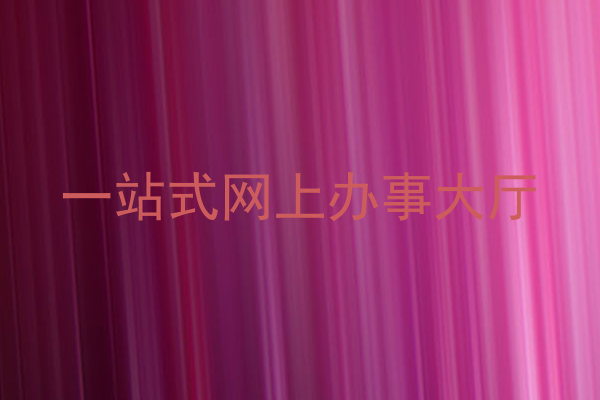 一站式网上办事大厅