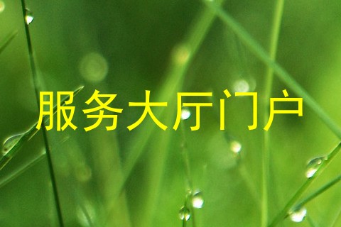 服务大厅门户