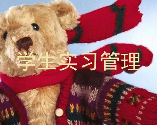 学生实习管理