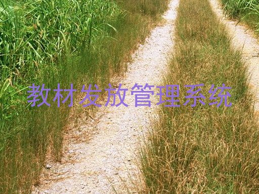 教材发放管理系统