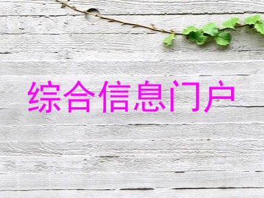 综合信息门户