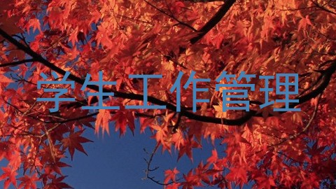 学生工作管理