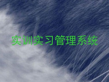 实训实习管理系统