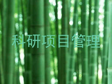 科研项目管理