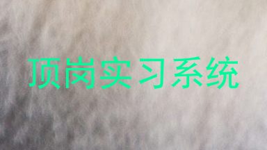 顶岗实习系统