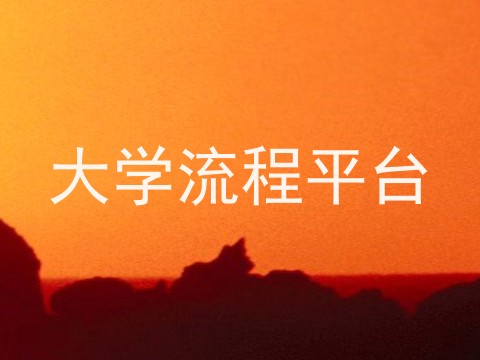 大学流程平台