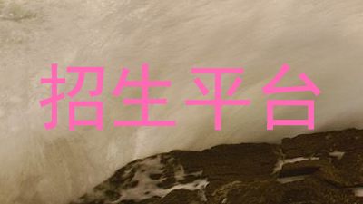招生平台