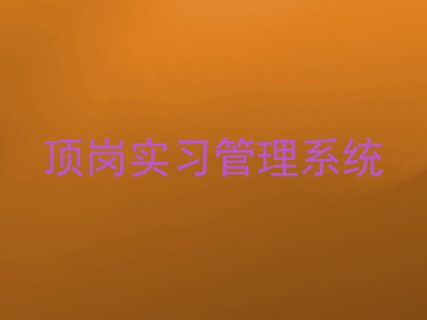 顶岗实习管理系统