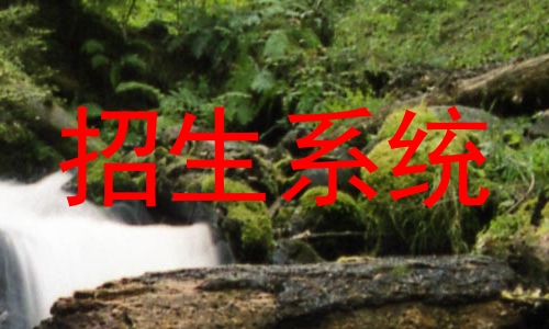招生系统
