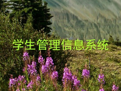 学生管理信息系统