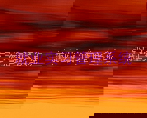 就业实习管理系统