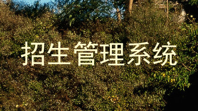 招生管理系统