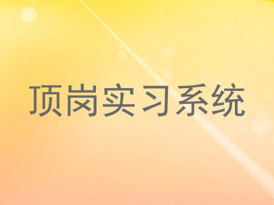 顶岗实习系统