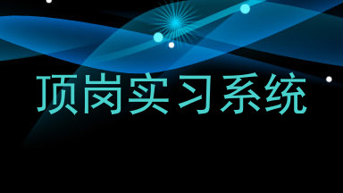 顶岗实习系统