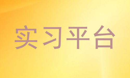 实习平台