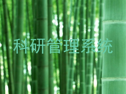 科研管理系统