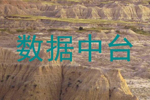 数据中台