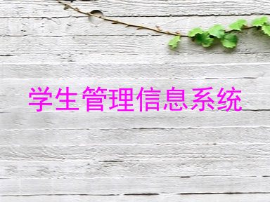 学生管理信息系统
