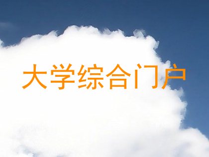 大学综合门户