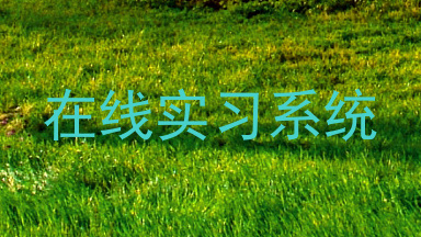 在线实习系统