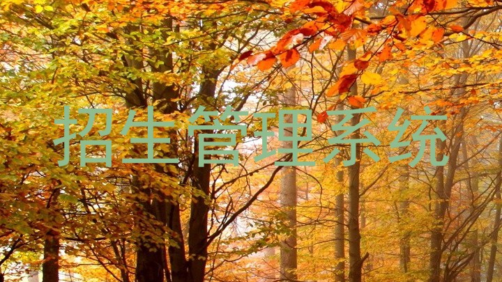 招生管理系统