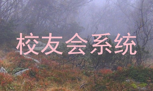 校友会系统