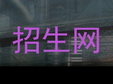 招生网