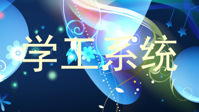 学工系统