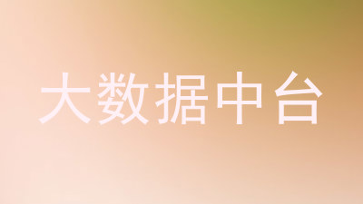 大数据中台