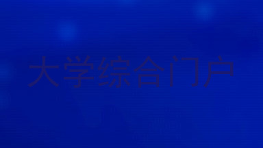 大学综合门户