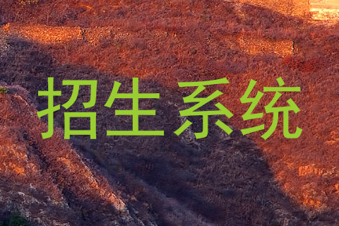 招生系统