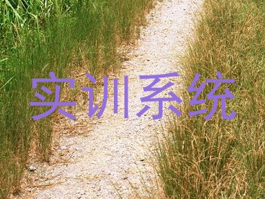 实训系统