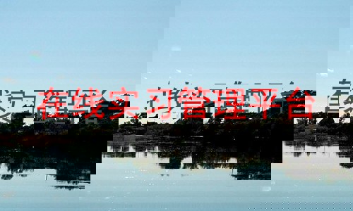 在线实习管理平台