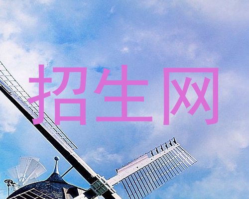 招生网