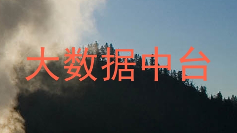 大数据中台