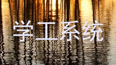 学工系统