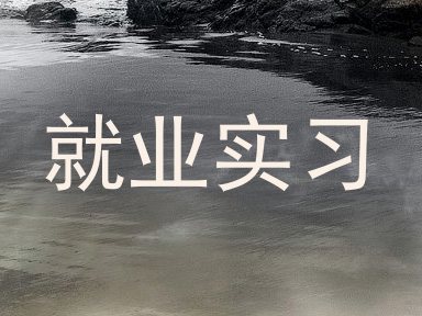 就业实习