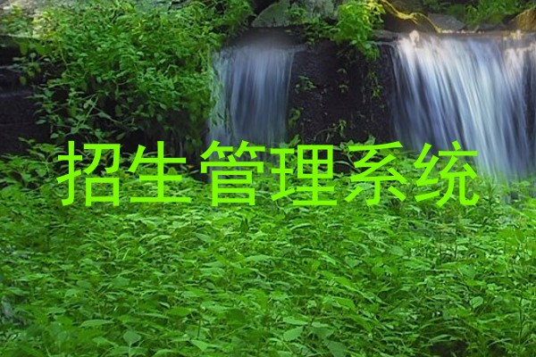 招生管理系统