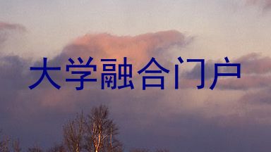 大学融合门户