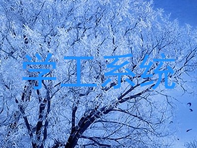 学工系统