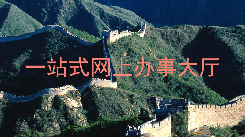 一站式网上办事大厅