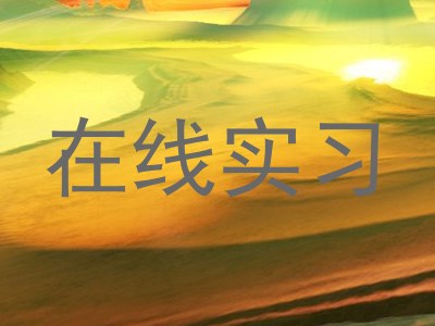 在线实习