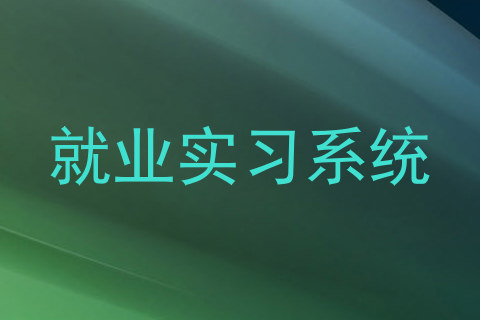 就业实习系统