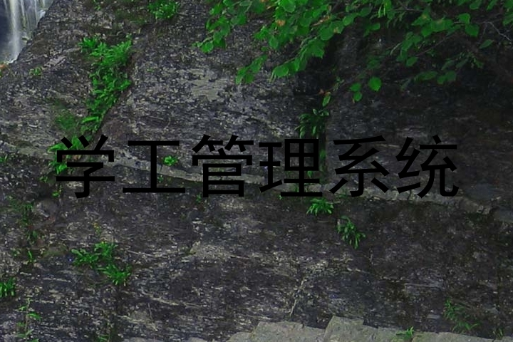 学工管理系统