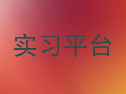 实习平台