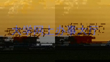 大学网上办事大厅