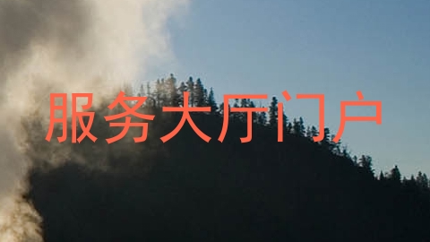 服务大厅门户