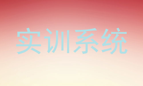 实训系统