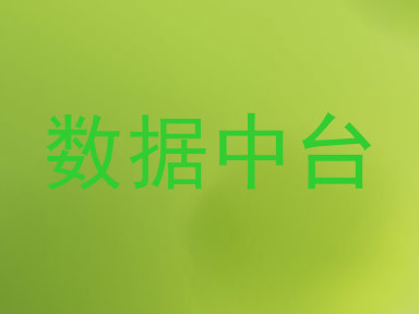 数据中台