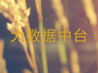 大数据中台